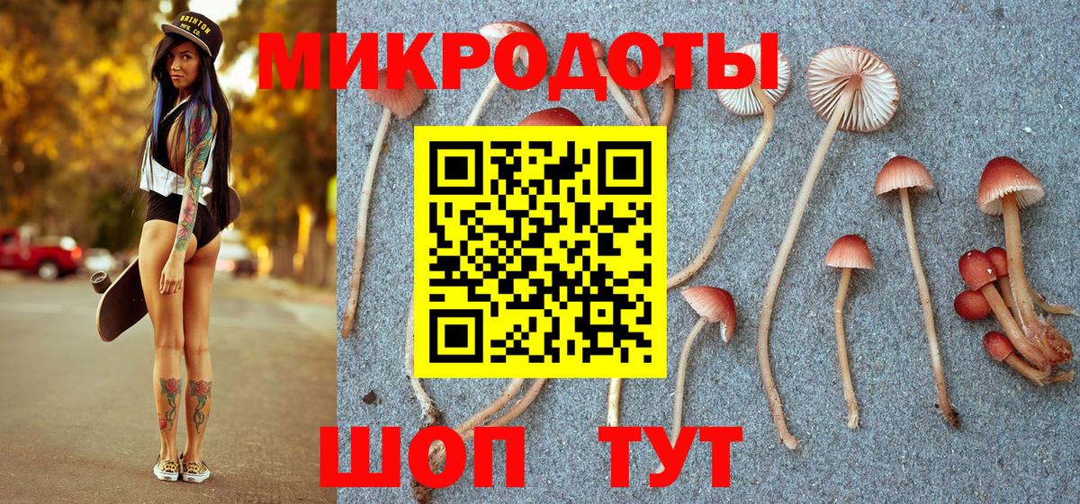 Липецк  Псилоцибиновые грибы мухоморы  Вход с VPN 