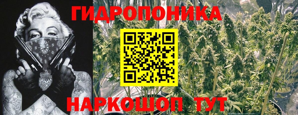 Бошки марихуана Amnesia  Бошки Шишки индика  Вход с VPN  Липецк  Бошки Шишки планчик 
